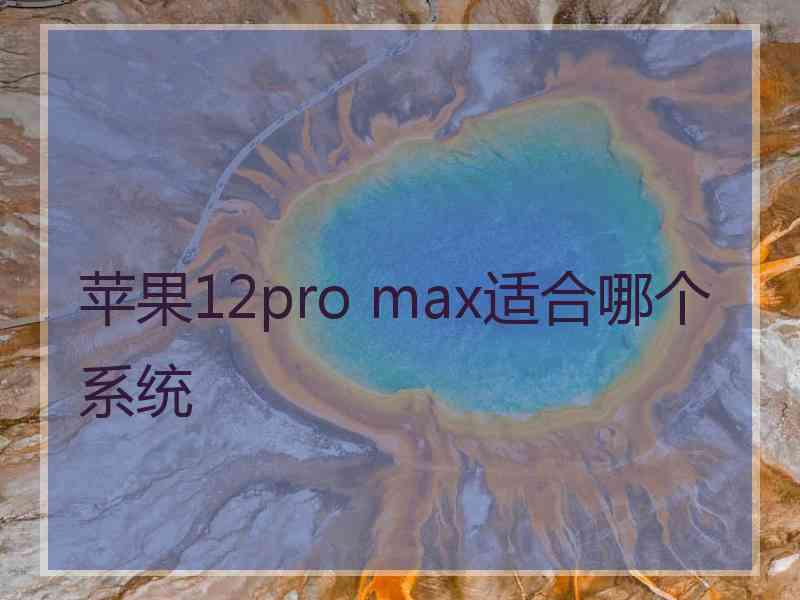 苹果12pro max适合哪个系统