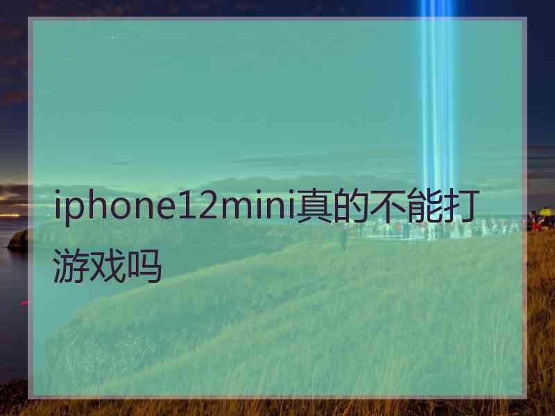 iphone12mini真的不能打游戏吗