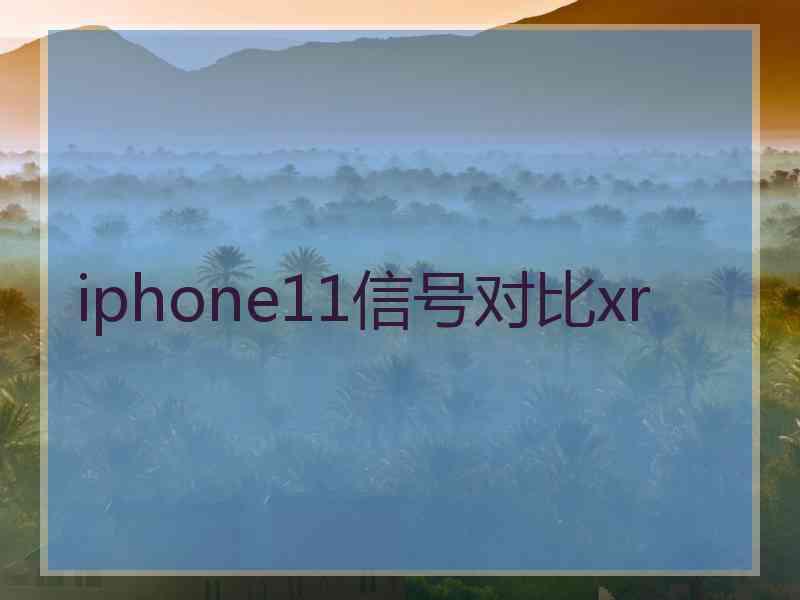 iphone11信号对比xr