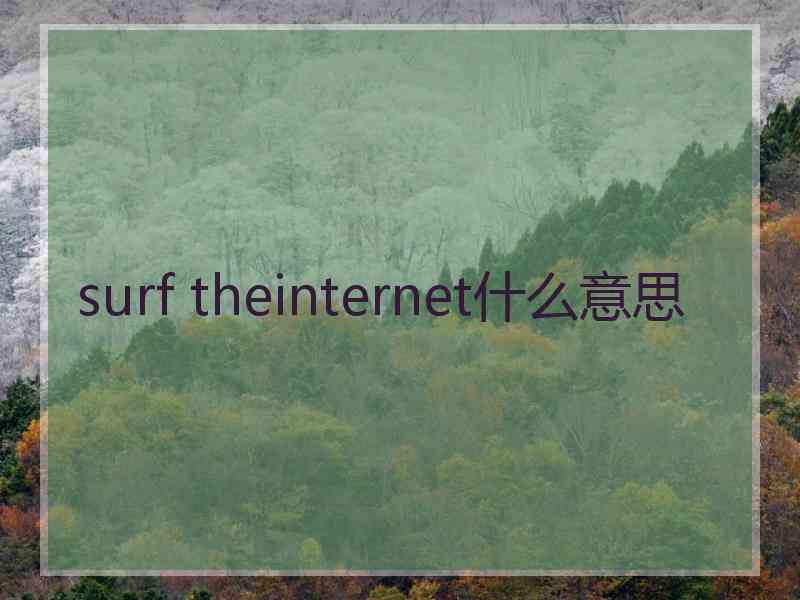 surf theinternet什么意思