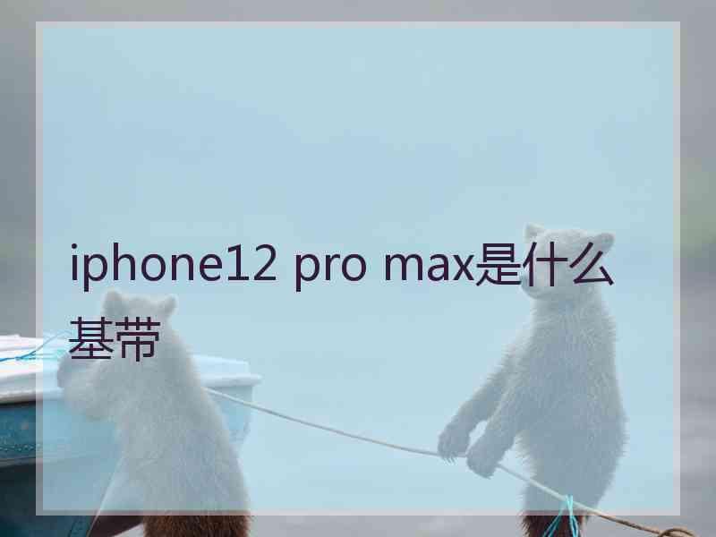 iphone12 pro max是什么基带