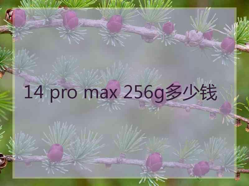 14 pro max 256g多少钱