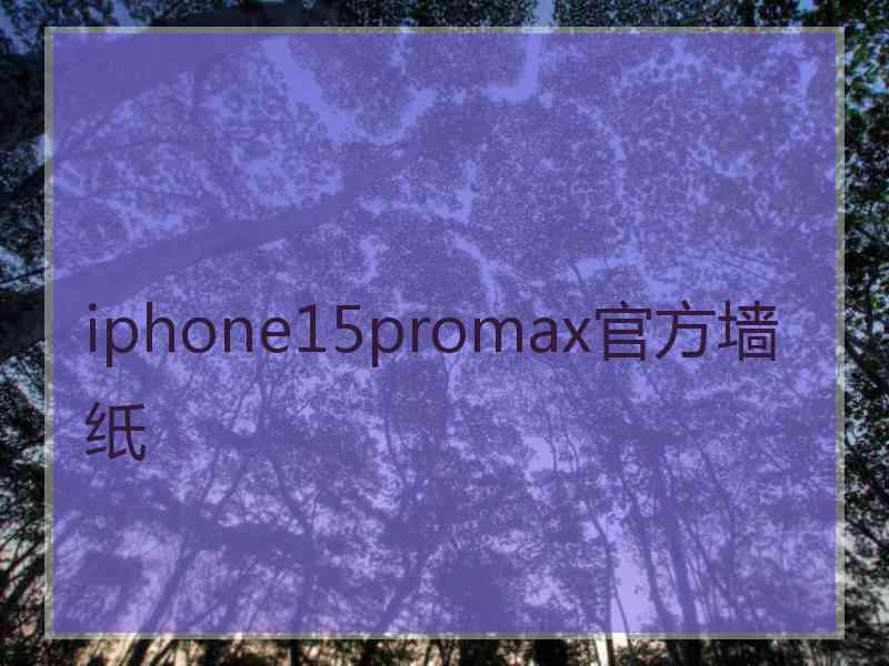 iphone15promax官方墙纸