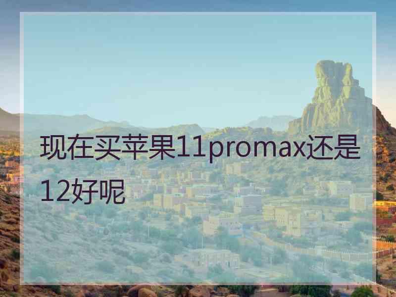 现在买苹果11promax还是12好呢