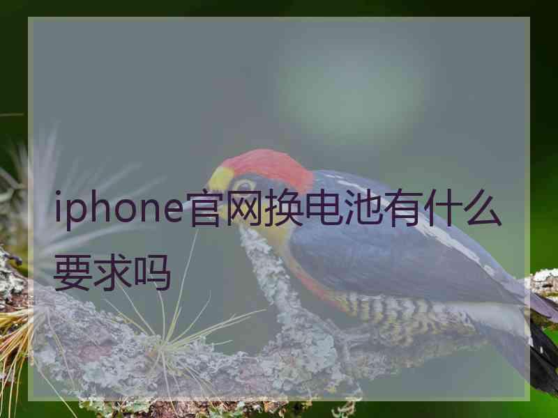 iphone官网换电池有什么要求吗