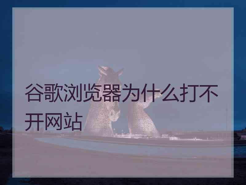 谷歌浏览器为什么打不开网站