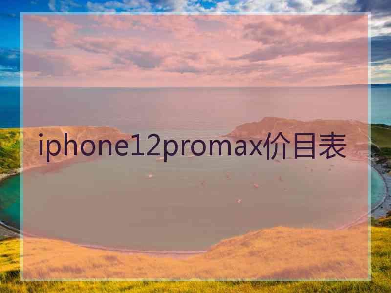 iphone12promax价目表