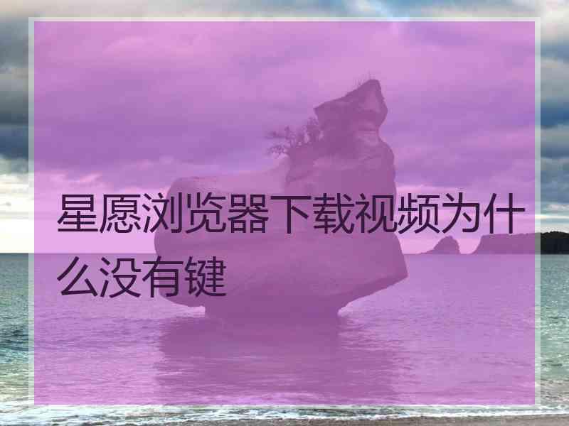 星愿浏览器下载视频为什么没有键