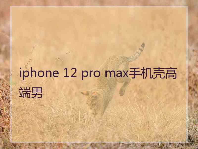 iphone 12 pro max手机壳高端男