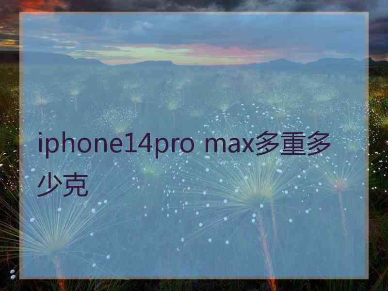 iphone14pro max多重多少克