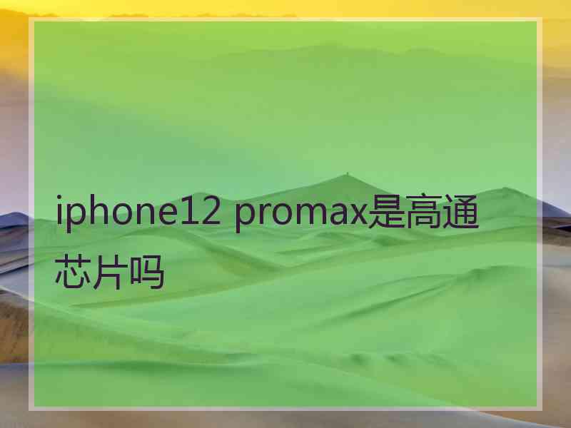 iphone12 promax是高通芯片吗