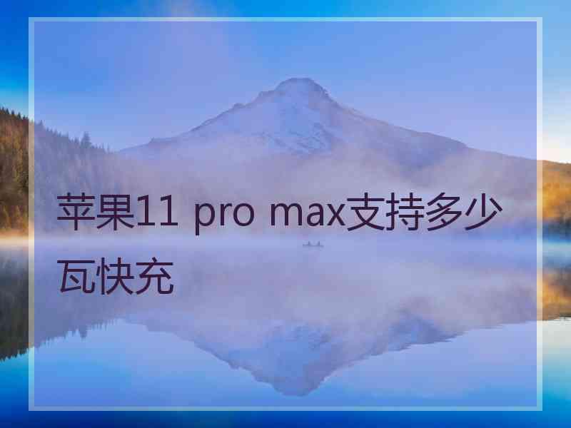 苹果11 pro max支持多少瓦快充