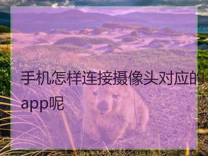 手机怎样连接摄像头对应的app呢