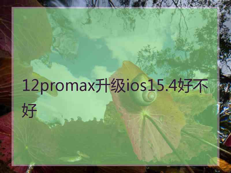 12promax升级ios15.4好不好