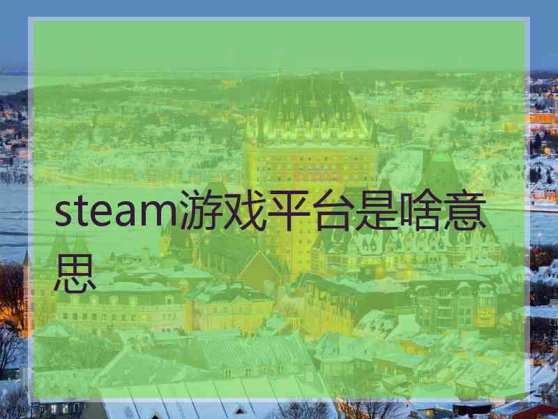 steam游戏平台是啥意思