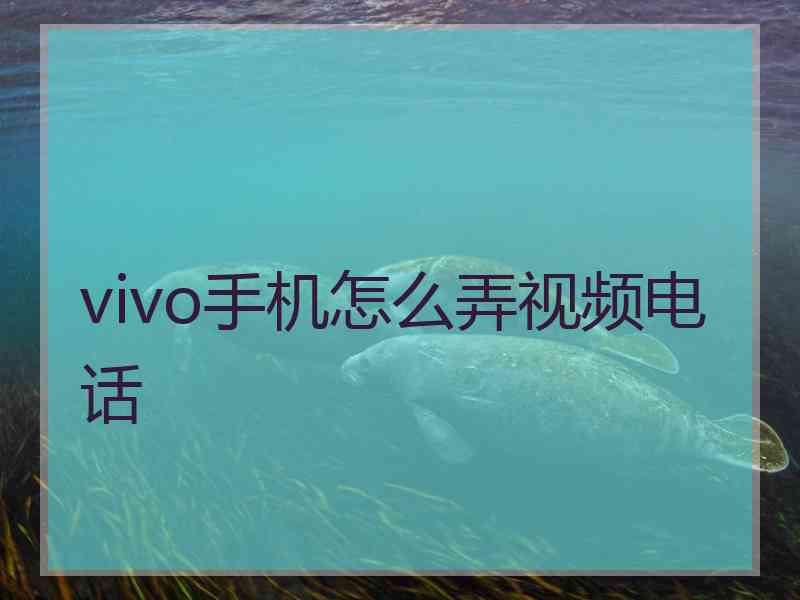 vivo手机怎么弄视频电话