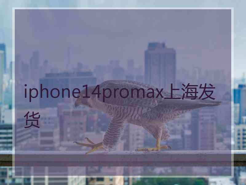 iphone14promax上海发货