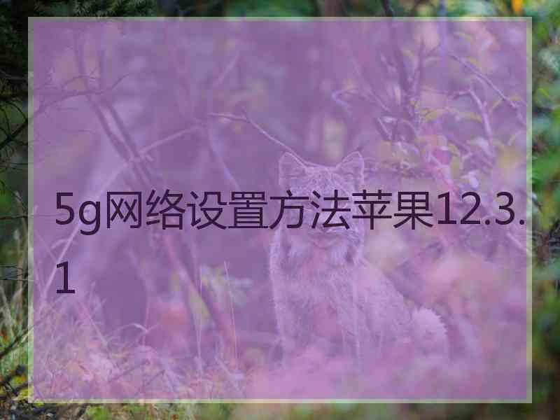 5g网络设置方法苹果12.3.1