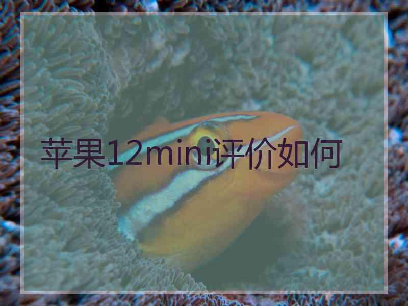 苹果12mini评价如何