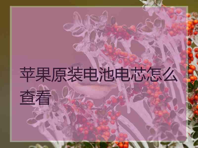 苹果原装电池电芯怎么查看