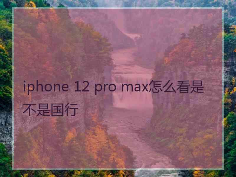 iphone 12 pro max怎么看是不是国行