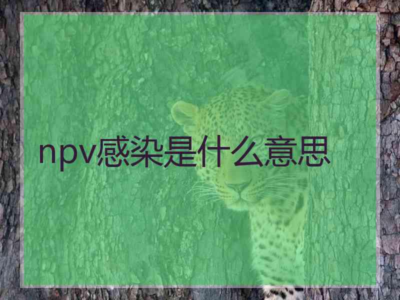 npv感染是什么意思