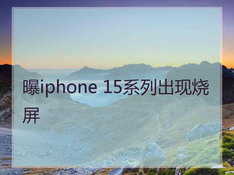 曝iphone 15系列出现烧屏