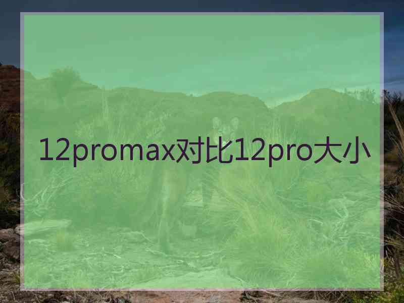 12promax对比12pro大小