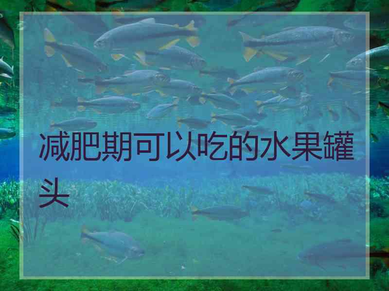 减肥期可以吃的水果罐头