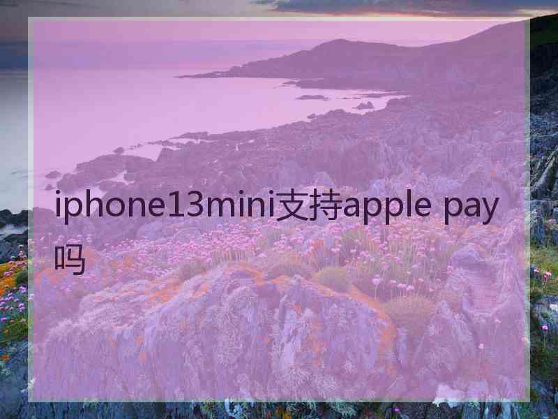 iphone13mini支持apple pay吗