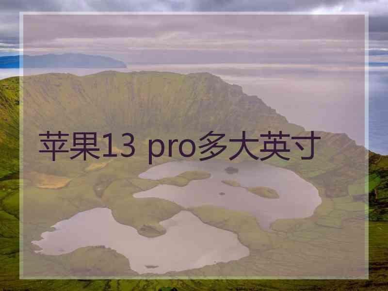 苹果13 pro多大英寸