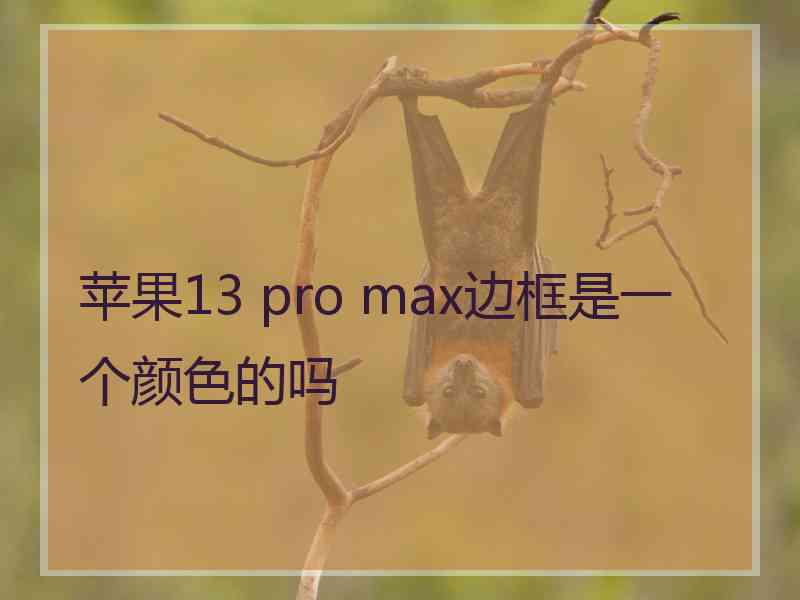 苹果13 pro max边框是一个颜色的吗