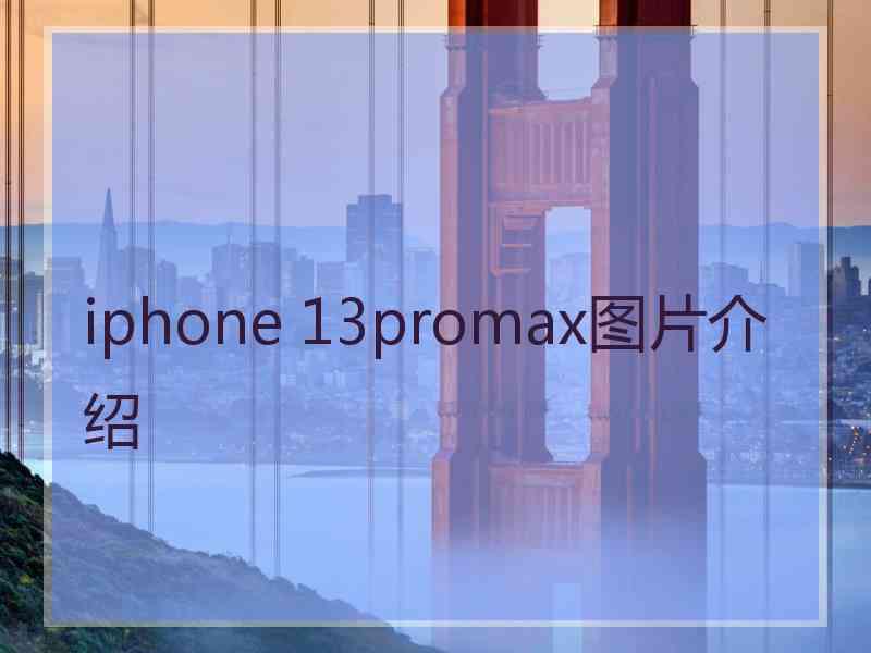 iphone 13promax图片介绍