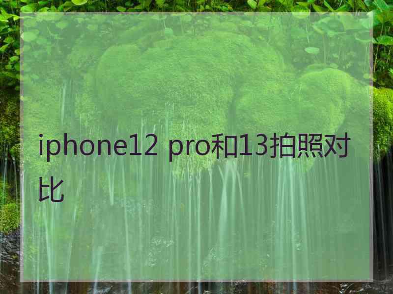 iphone12 pro和13拍照对比