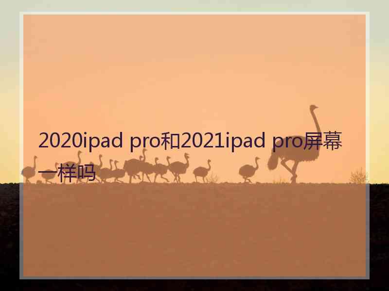 2020ipad pro和2021ipad pro屏幕一样吗