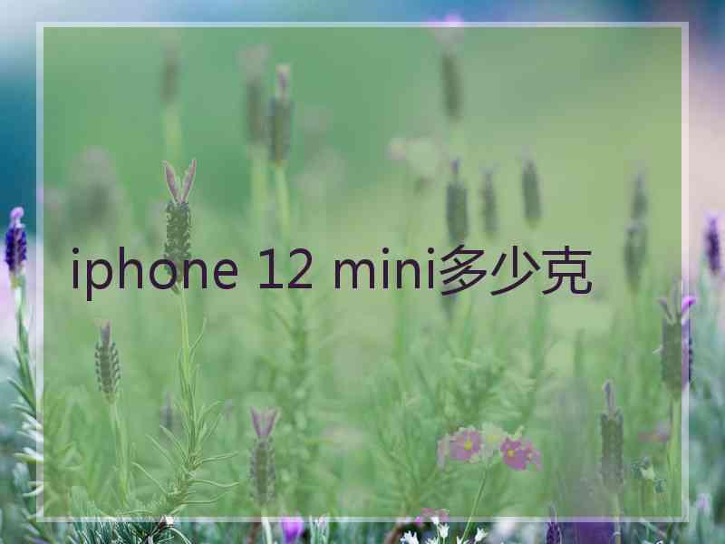 iphone 12 mini多少克