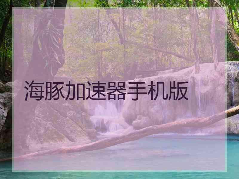 海豚加速器手机版