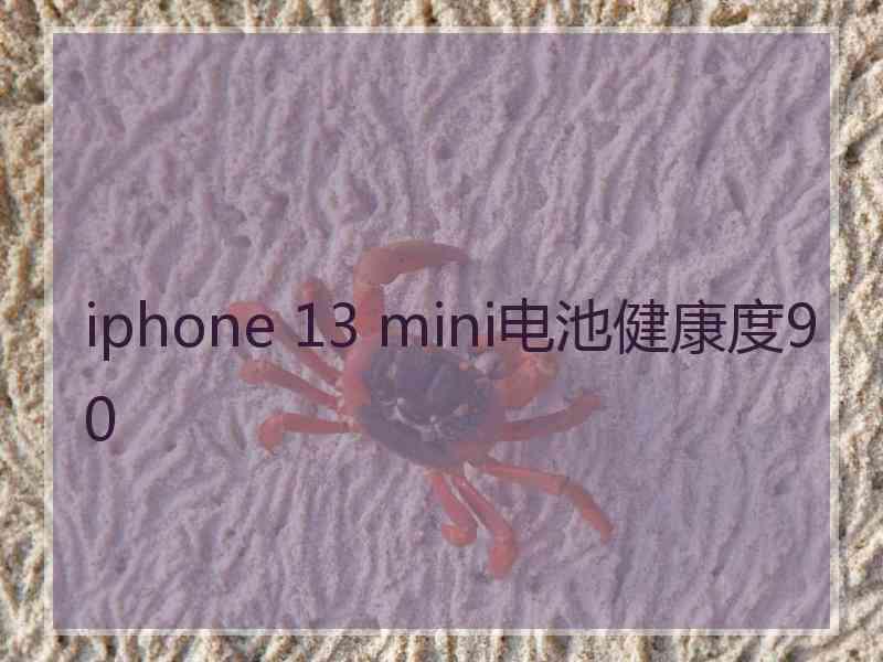 iphone 13 mini电池健康度90