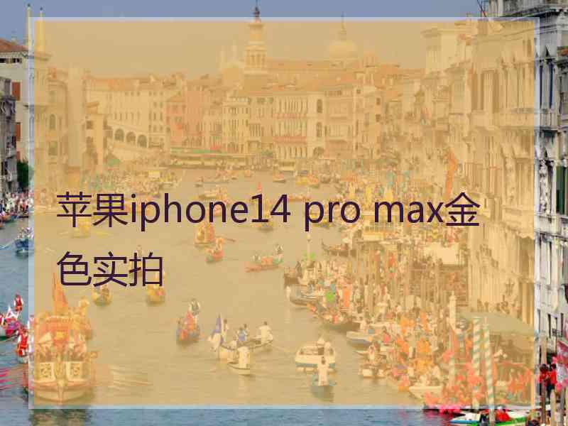 苹果iphone14 pro max金色实拍