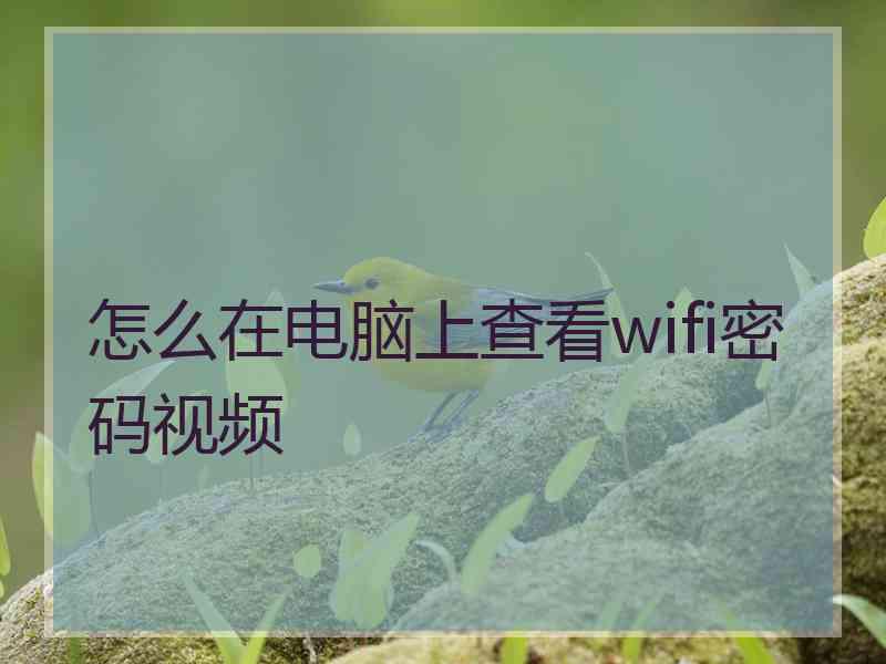 怎么在电脑上查看wifi密码视频