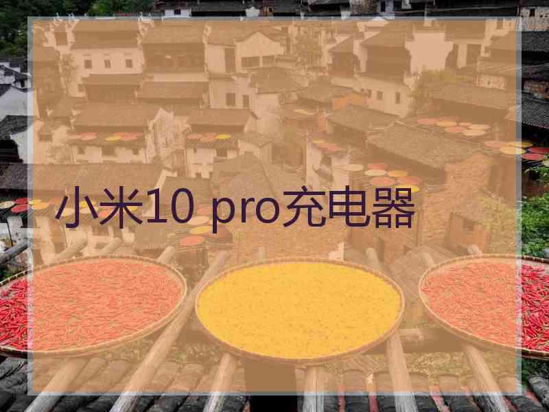 小米10 pro充电器