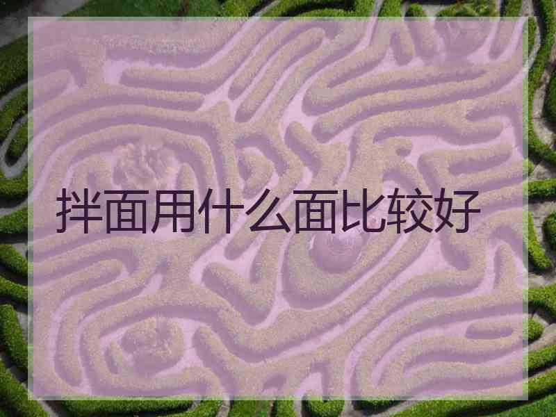 拌面用什么面比较好