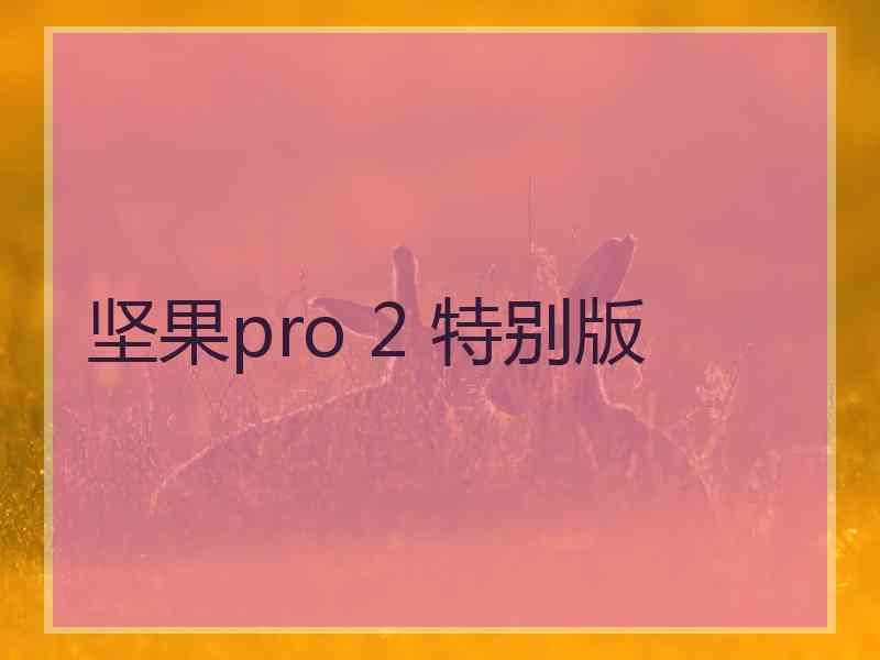 坚果pro 2 特别版