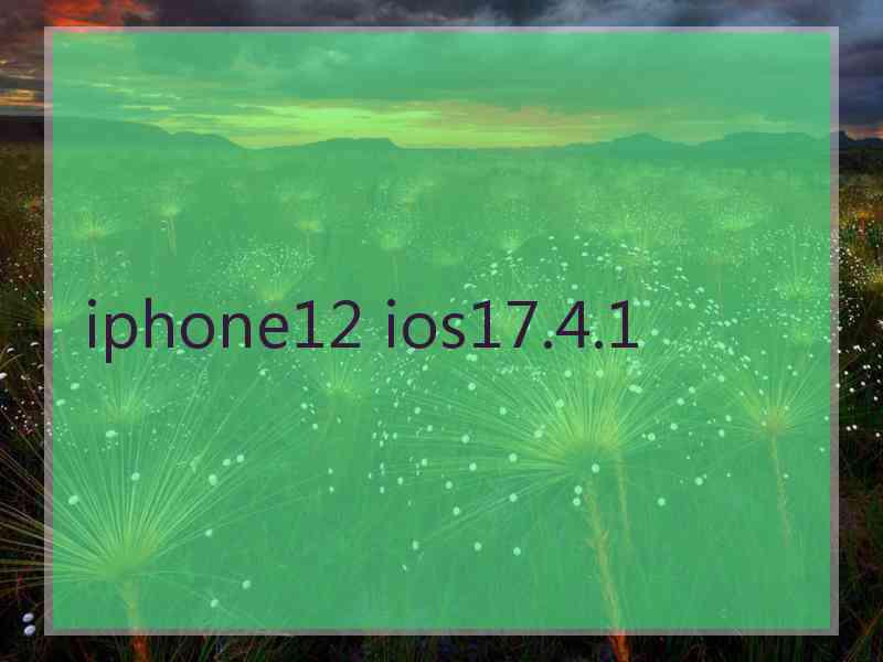 iphone12 ios17.4.1