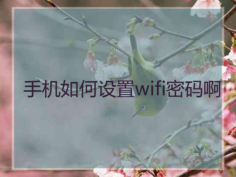 手机如何设置wifi密码啊