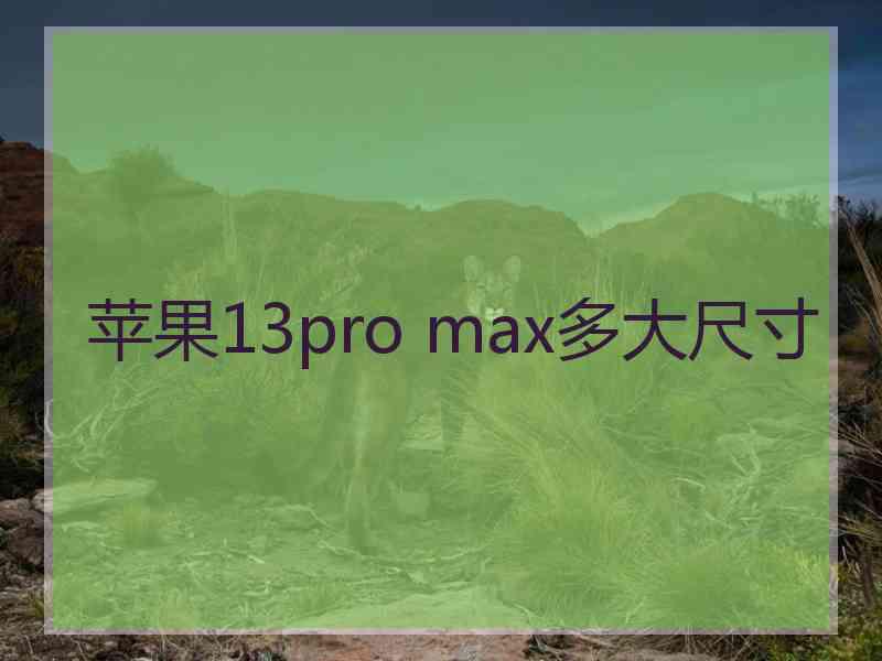 苹果13pro max多大尺寸