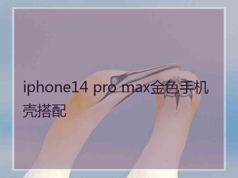 iphone14 pro max金色手机壳搭配