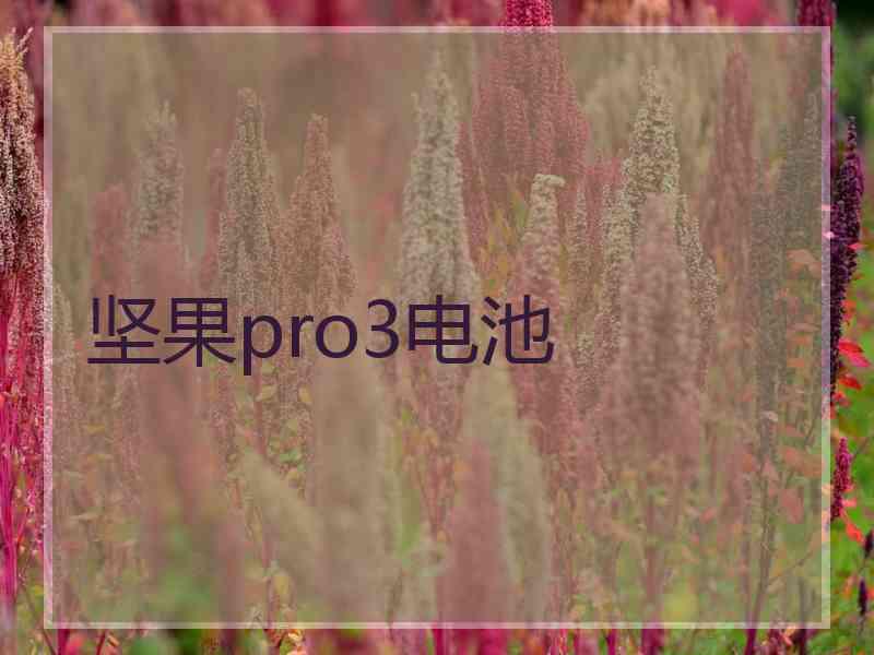 坚果pro3电池