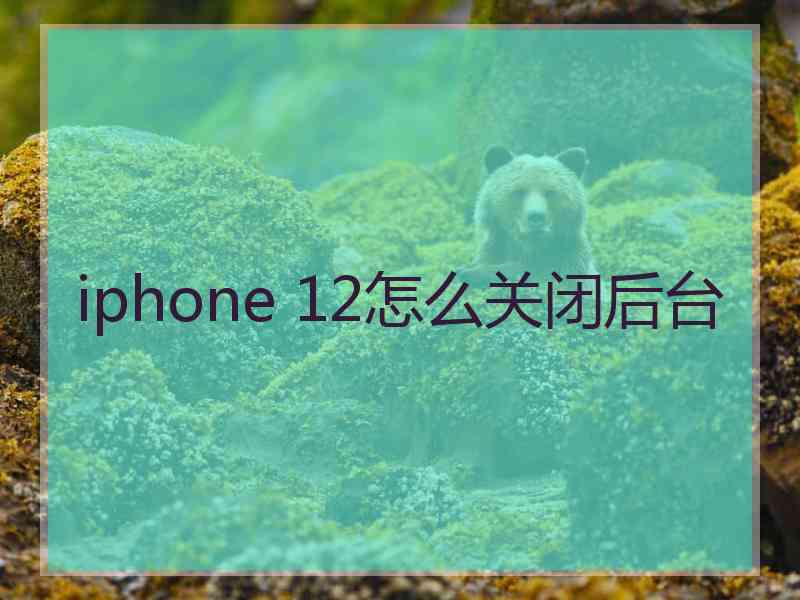 iphone 12怎么关闭后台