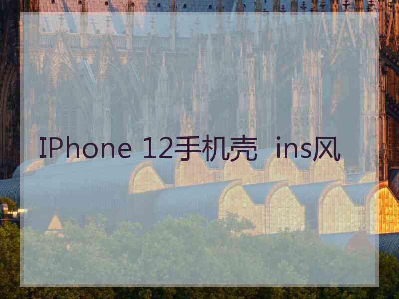 IPhone 12手机壳  ins风